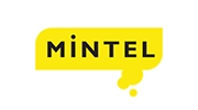 2013 Mintel hi-res